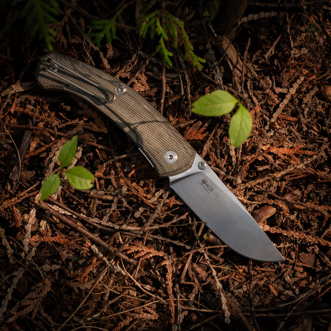 GiantMouse ACE Iona V2 – Bild 4