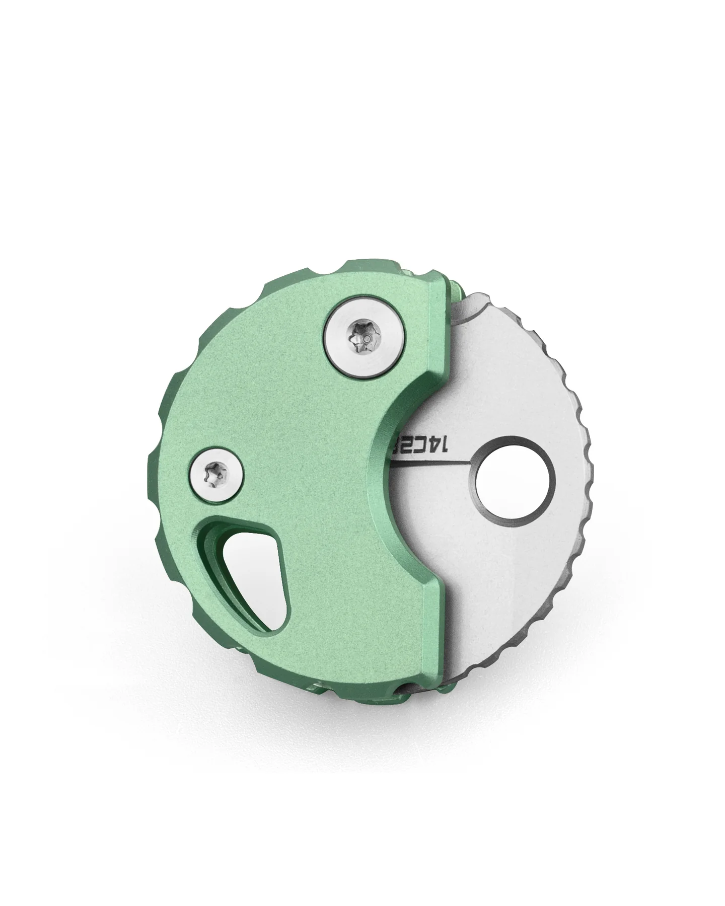 Bestechman Turtle  – Bild 4