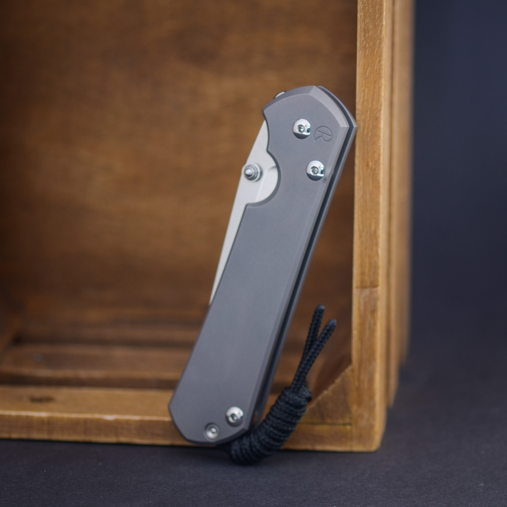 Chris Reeve Sebenza 31 – Glass Blasted / Silver Hardware – Bild 1