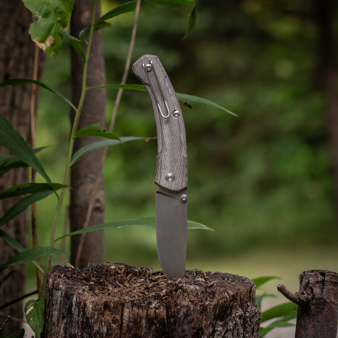 GiantMouse ACE Iona V2 – Bild 9