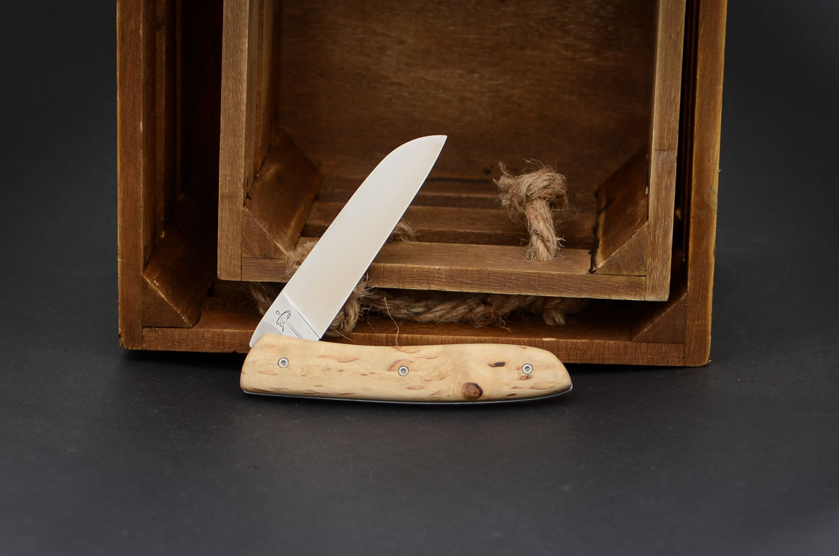 Perceval L08 Maserbirke