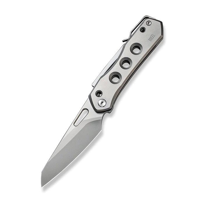 WE Vision R Gray Titanium