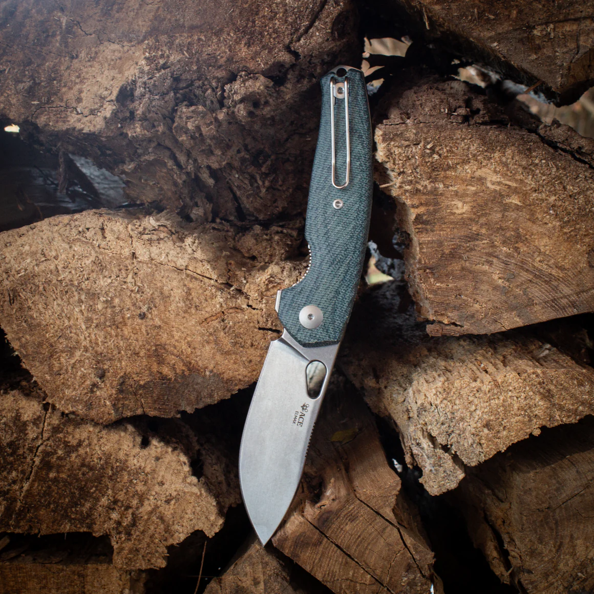 GiantMouse ACE Jagt  – Bild 2