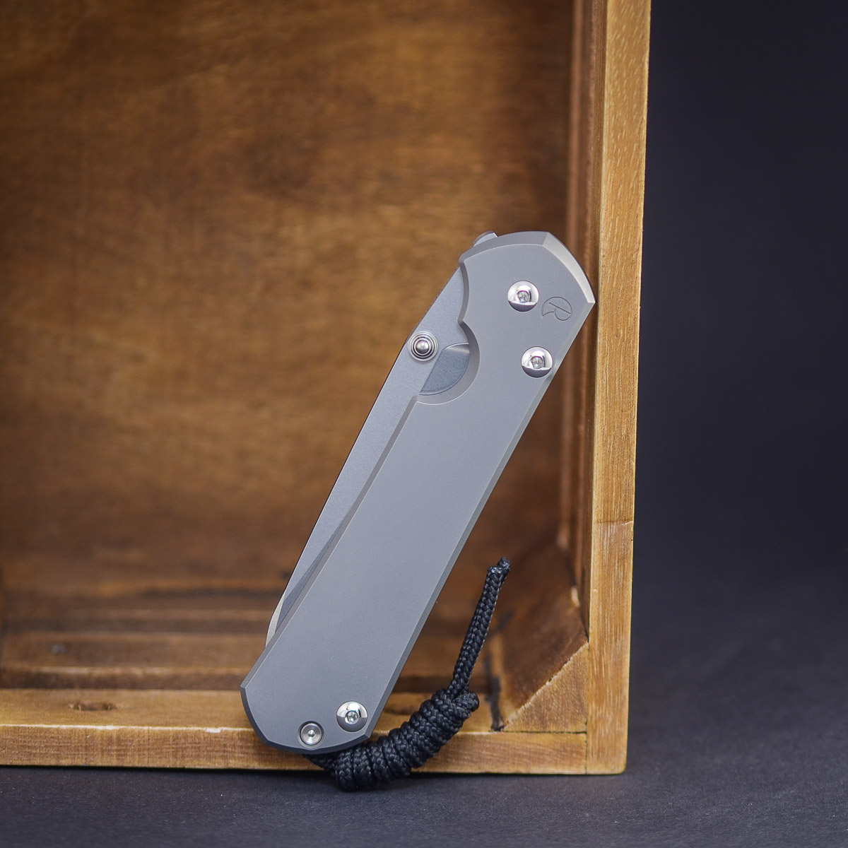 Chris Reeve Sebenza 31 – Glass Blasted / Silver Hardware – Bild 3