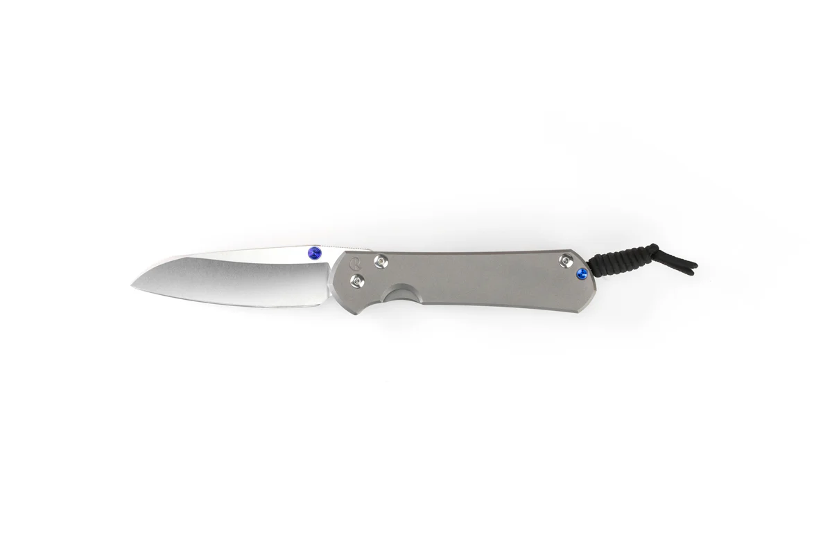 Chris Reeve Sebenza 31 Glass Blasted Chris Reeve Sebenza 31 Glass Blasted