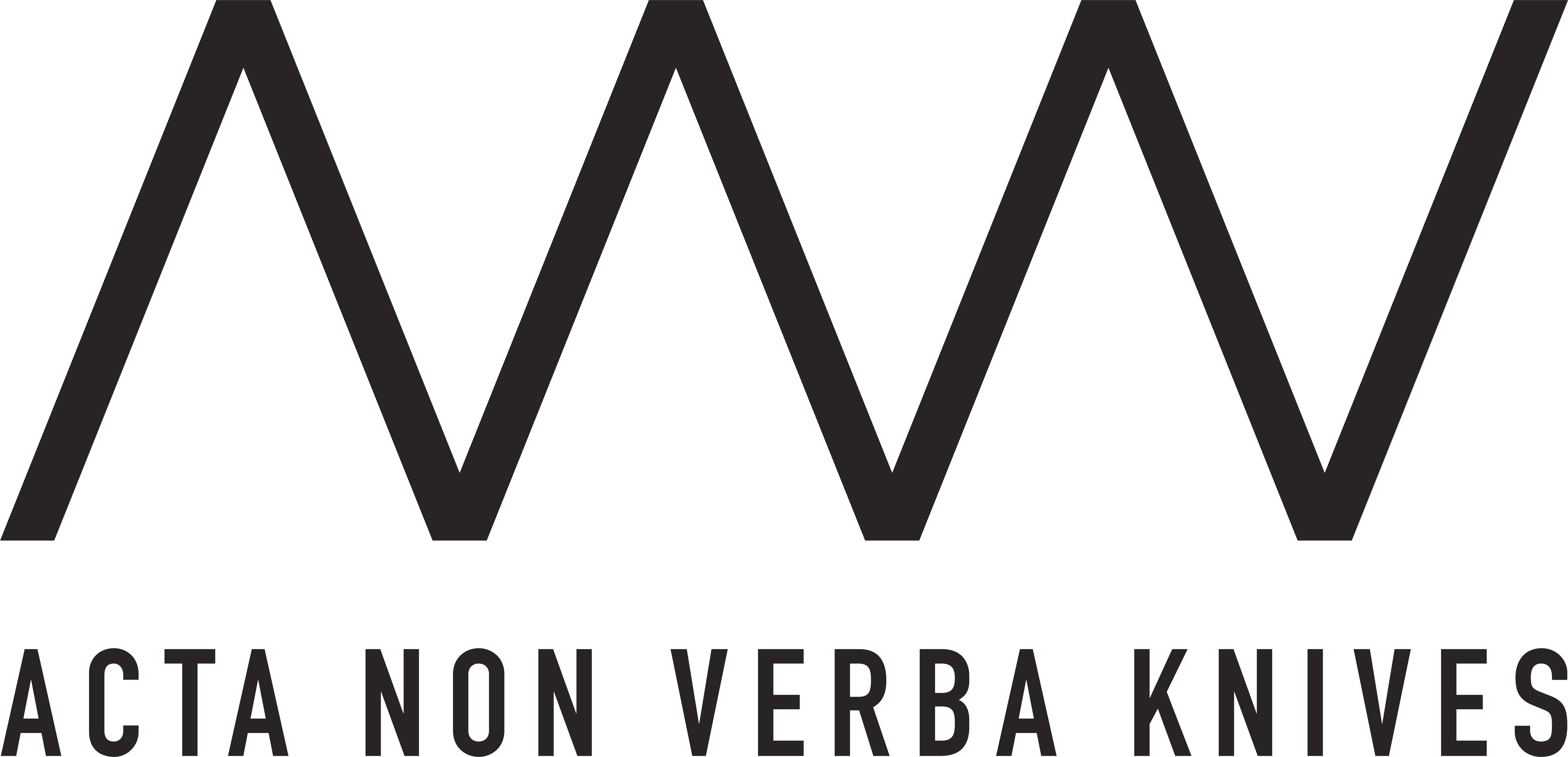 Acta Non Verba Acta Non Verba