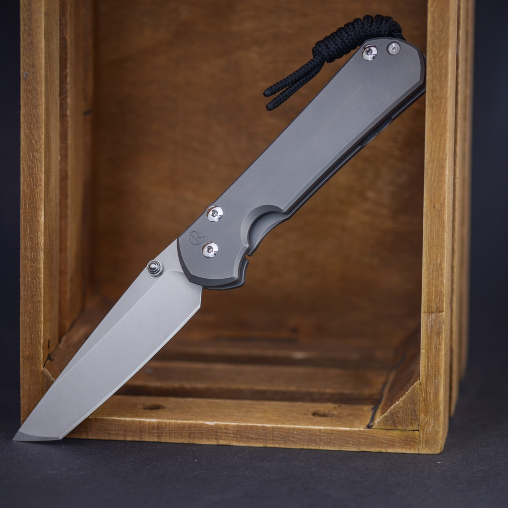 Chris Reeve Sebenza 31 – Glass Blasted / Silver Hardware – Bild 2