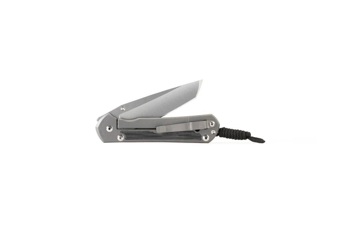 Chris Reeve Sebenza 31 Canvas Micarta black – Bild 4
