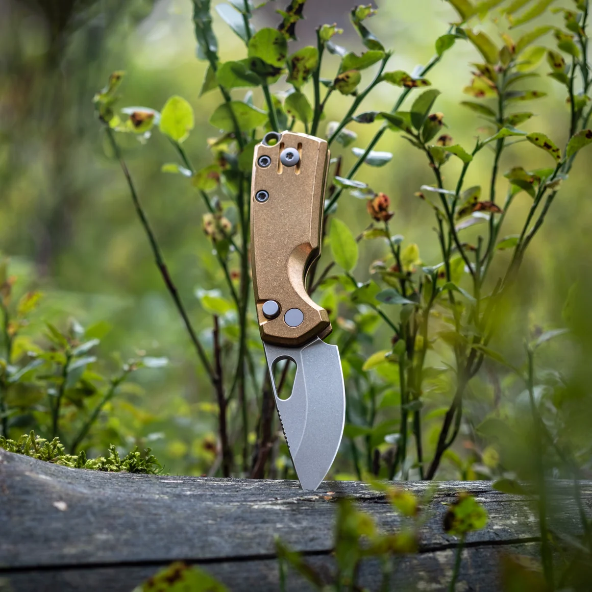 GiantMouse Tipsy  – Bild 6