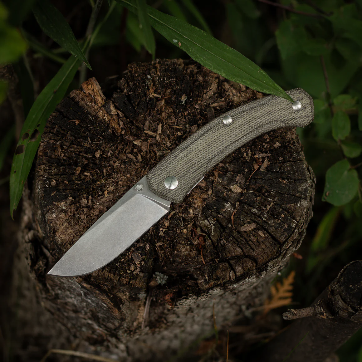 GiantMouse ACE Iona V2 – Bild 7